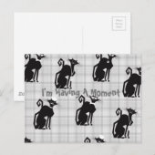 Professionele Katten Postkaart (Voorkant / Achterkant)