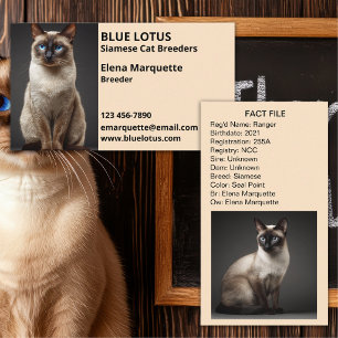 Professionele Kattenfokkerij, Siamese Kattenfokker Visitekaartje