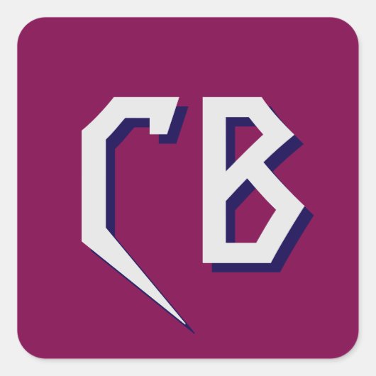 Professionele moderne minimalistische Initialen vo Vierkante Sticker (Voorkant)