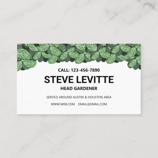 Professionele neerslag van de zorg en het landscha visitekaartje (Achterkant)