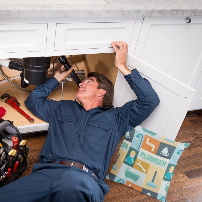 Professionele plug-in kussen (Creator heeft geüpload)