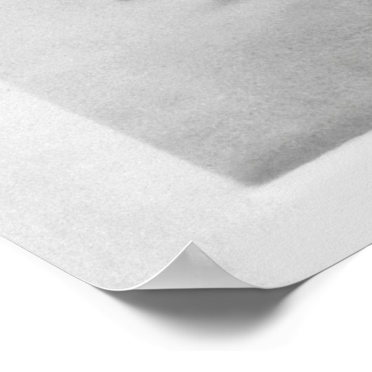 Professionele Scout Calamity Jane 1895 Poster (Hoek)