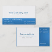 Professionelle Business Visitenkarten Blue White Visitekaartje (Voorkant / Achterkant)