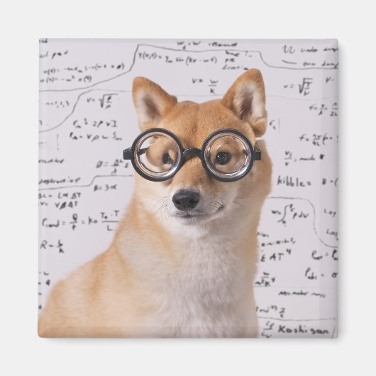 Professor Barkley 2 inch vierkante magneet (Voorkant)