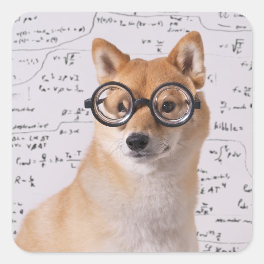 Professor Barkley Square Sticker (glanzend) (Voorkant)