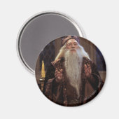 Professor Dumbledore Magneet (Voorkant / Achterkant)