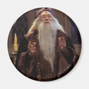 Professor Dumbledore Magneet