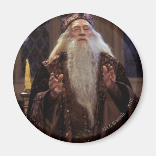 Professor Dumbledore Magneet (Voorkant)