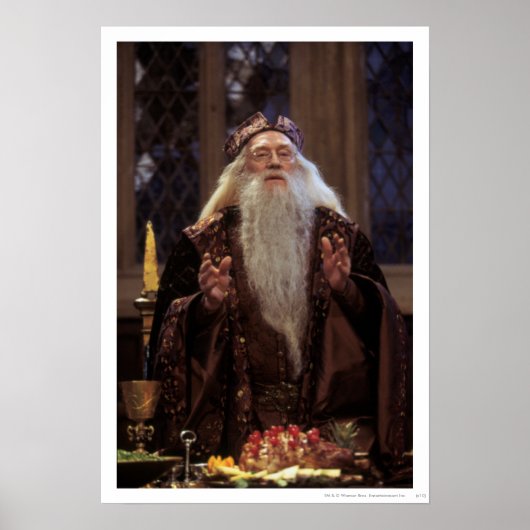 Professor Dumbledore Poster (Voorkant)