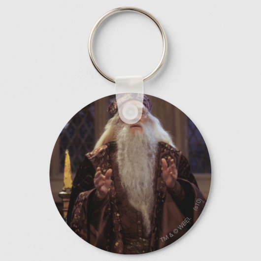Professor Dumbledore Sleutelhanger (Voorkant)