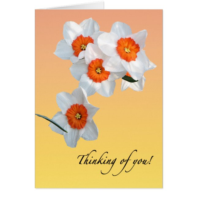 Professor Einstein's Daffodil Flowers Floral Card (Voorkant)