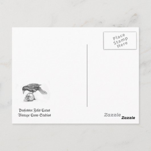 Professor Felis Catus Briefkaart (Achterkant)