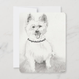 Proficiat Blanco Kaart