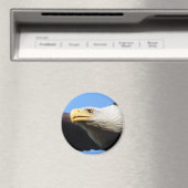 Profiel Bald Eagle Magneet (Insitu (Vaatwasser))