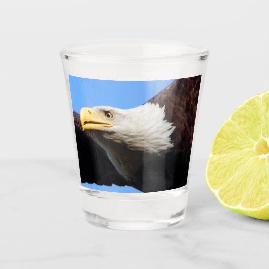 Profiel Bald Eagle Shot Glas (Voorkant)