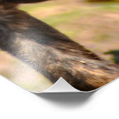 Profiel Brindle Puppy Foto Afdruk (Hoek)