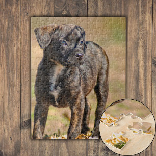 Profiel Brindle Puppy Legpuzzel