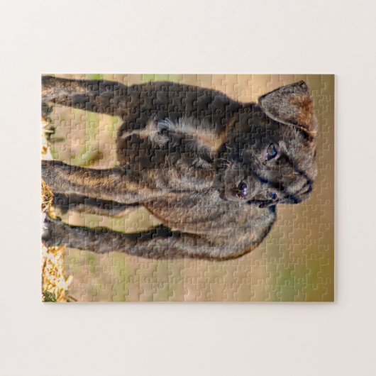 Profiel Brindle Puppy Legpuzzel (Horizontaal)