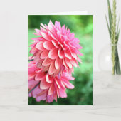 Profiel Dahlia Kaart (Voorkant)