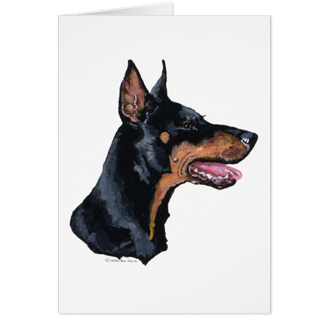 Profiel Doberman Pinscher (Voorkant)