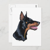 Profiel Doberman Pinscher Briefkaart (Voorkant / Achterkant)