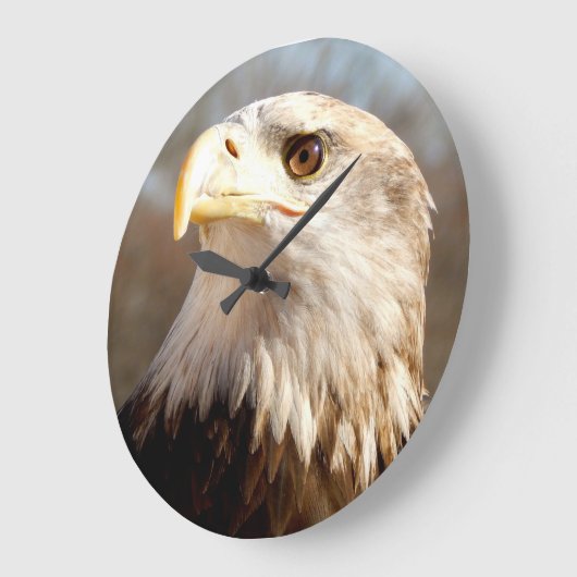 Profiel Eagle Proud Grote Klok (Hoek)