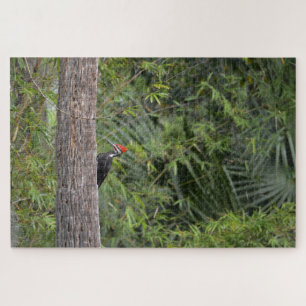 Profiel Florida Pileated Woodpecker Natuur Foto Legpuzzel
