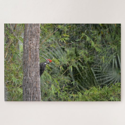 Profiel Florida Pileated Woodpecker Natuur Foto Legpuzzel (Horizontaal)