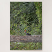 Profiel Florida Pileated Woodpecker Natuur Foto Legpuzzel (Verticaal)