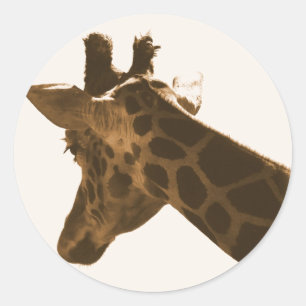 Profiel Giraffe opnieuw uitlijnen Ronde Sticker