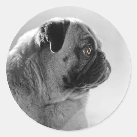 Profiel invoegen ronde sticker (Voorkant)