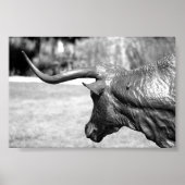 Profiel Longhorn Poster (Voorkant)