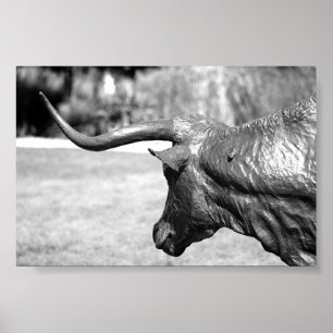 Profiel Longhorn Poster