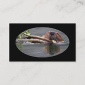 profiel of visitekaartje, bever visitekaartje (Achterkant)