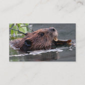 profiel of visitekaartje, bever visitekaartje (Achterkant)