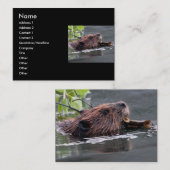 profiel of visitekaartje, bever visitekaartje (Voorkant / Achterkant)