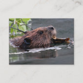 profiel of visitekaartje, bever visitekaartje (Achterkant)
