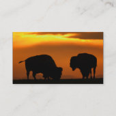 profiel of visitekaartje, bizon visitekaartje (Achterkant)