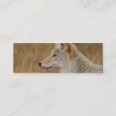 profiel of visitekaartje, coyote mini visitekaartje (Achterkant)