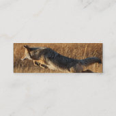 profiel of visitekaartje, coyote springen mini visitekaartje (Achterkant)