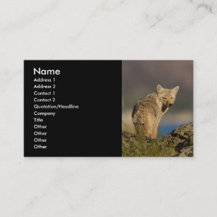 profiel of visitekaartje, coyote visitekaartje