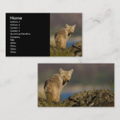profiel of visitekaartje, coyote visitekaartje (Voorkant / Achterkant)