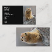 profiel of visitekaartje, eekhoorn visitekaartje (Voorkant / Achterkant)