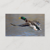 profiel of visitekaartje, eend visitekaartje (Achterkant)