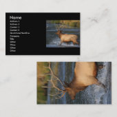 profiel of visitekaartje, elandsplash visitekaartje (Voorkant / Achterkant)