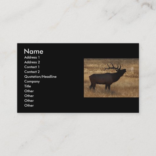 profiel of visitekaartje, elandtapijt visitekaartje (Voorkant)