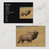 profiel of visitekaartje, elk visitekaartje (Voorkant / Achterkant)