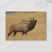 profiel of visitekaartje, elk visitekaartje (Achterkant)