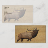 profiel of visitekaartje, elk visitekaartje (Voorkant / Achterkant)