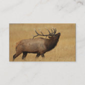 profiel of visitekaartje, elk visitekaartje (Achterkant)